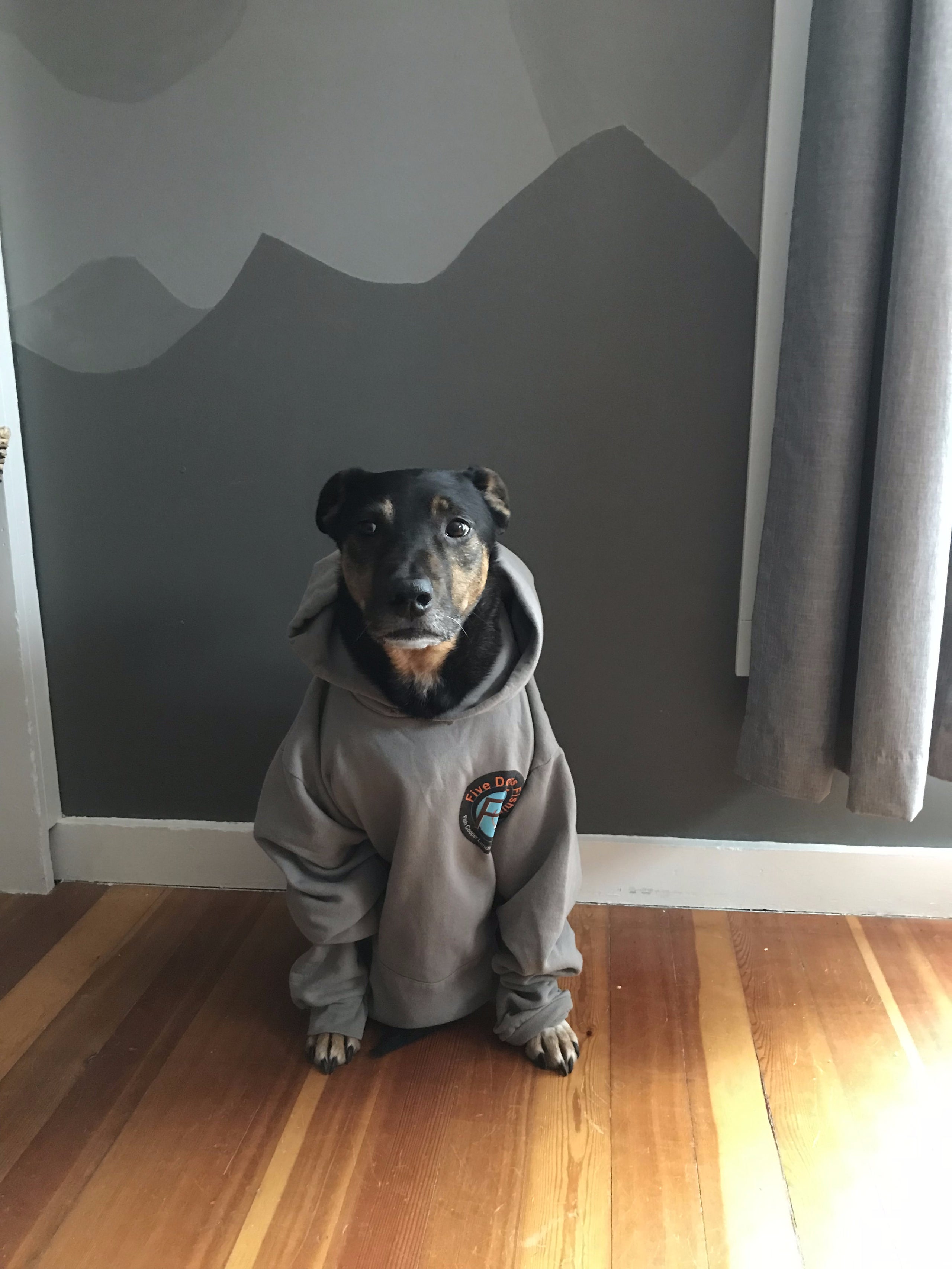 Five Dogs Fishing Hooded Sweatshirt